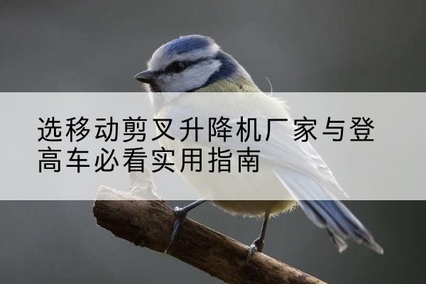 罗源电动升降机厂家-选移动剪叉升降机厂家与登高车必看实用指南