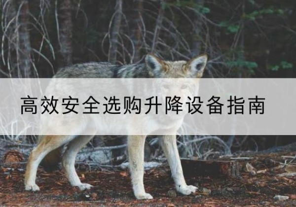罗源升降货梯厂家推荐-*安全选购升降设备指南