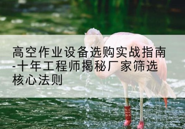 罗源剪叉式升降机厂家-高空作业设备选购实战指南-十年工程师揭秘厂家筛选核心法则